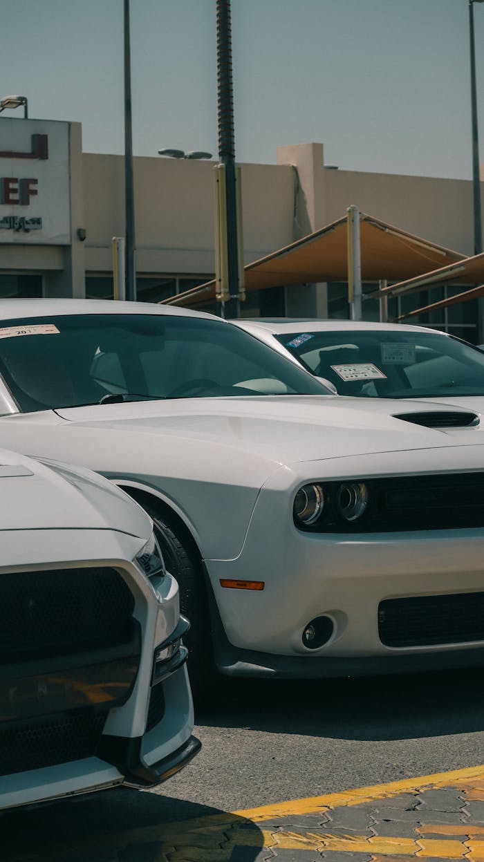 Services White Dodge Challenger in a car dealership parking lot during the day.